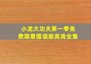 小龙大功夫第一季免费观看国语版高清全集