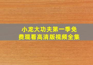 小龙大功夫第一季免费观看高清版视频全集