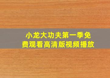 小龙大功夫第一季免费观看高清版视频播放