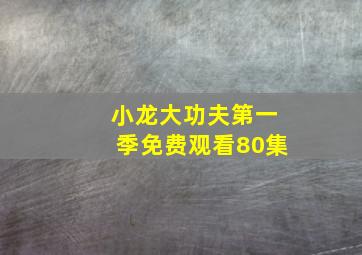 小龙大功夫第一季免费观看80集