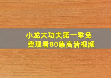 小龙大功夫第一季免费观看80集高清视频