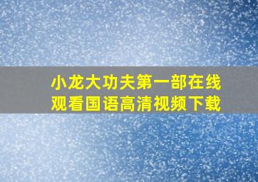 小龙大功夫第一部在线观看国语高清视频下载