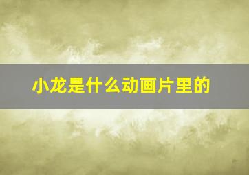 小龙是什么动画片里的