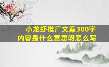 小龙虾推广文案300字内容是什么意思呀怎么写