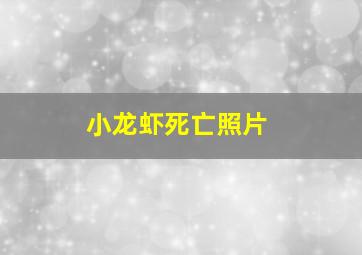 小龙虾死亡照片