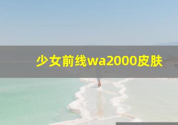 少女前线wa2000皮肤