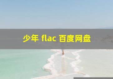 少年 flac 百度网盘