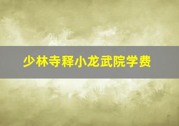 少林寺释小龙武院学费