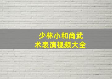 少林小和尚武术表演视频大全