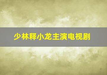 少林释小龙主演电视剧