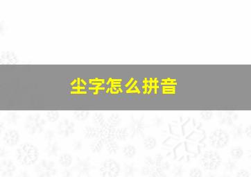 尘字怎么拼音