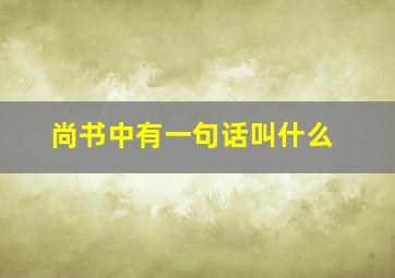 尚书中有一句话叫什么