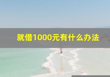 就借1000元有什么办法