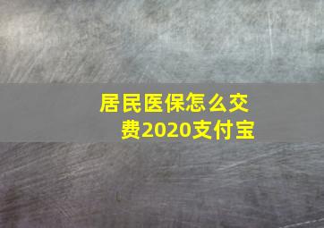 居民医保怎么交费2020支付宝