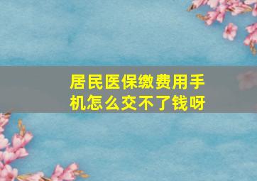 居民医保缴费用手机怎么交不了钱呀