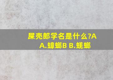 屎壳郎学名是什么?A A.蟑螂B B.蜣螂