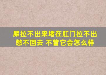 屎拉不出来堵在肛门拉不出憋不回去 不管它会怎么样