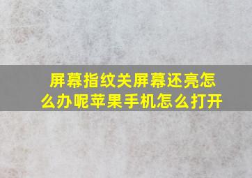 屏幕指纹关屏幕还亮怎么办呢苹果手机怎么打开