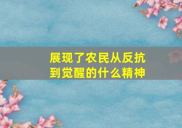 展现了农民从反抗到觉醒的什么精神