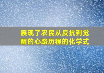 展现了农民从反抗到觉醒的心路历程的化学式