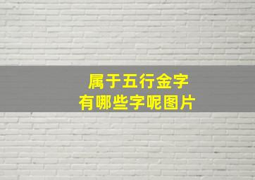 属于五行金字有哪些字呢图片