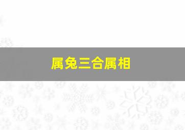 属兔三合属相