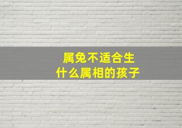 属兔不适合生什么属相的孩子