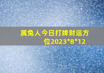 属兔人今日打牌财运方位2023*8*12