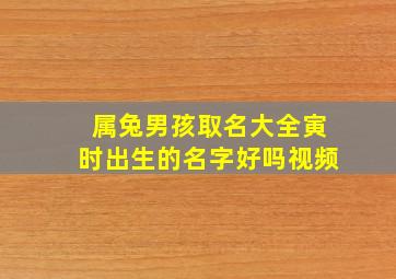 属兔男孩取名大全寅时出生的名字好吗视频