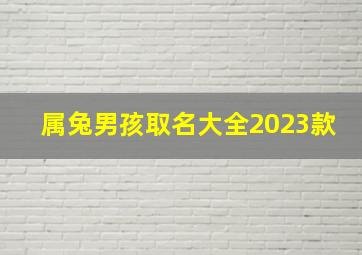 属兔男孩取名大全2023款