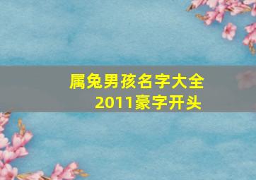 属兔男孩名字大全2011豪字开头