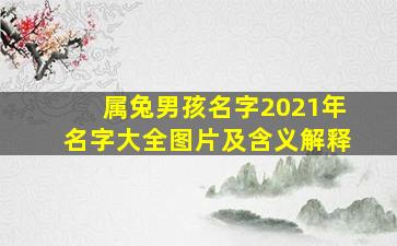 属兔男孩名字2021年名字大全图片及含义解释