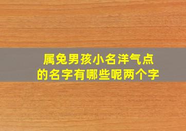 属兔男孩小名洋气点的名字有哪些呢两个字