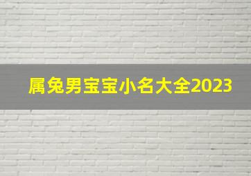 属兔男宝宝小名大全2023