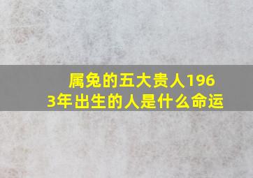 属兔的五大贵人1963年出生的人是什么命运