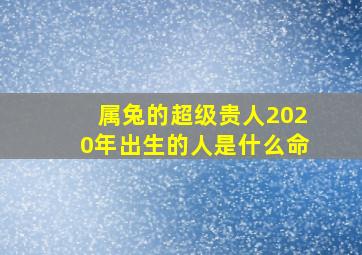 属兔的超级贵人2020年出生的人是什么命