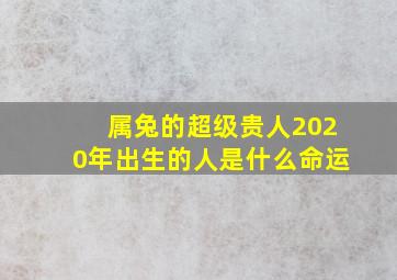 属兔的超级贵人2020年出生的人是什么命运