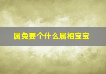 属兔要个什么属相宝宝