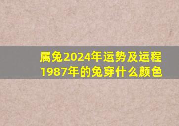 属兔2024年运势及运程1987年的兔穿什么颜色