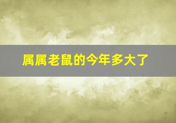 属属老鼠的今年多大了