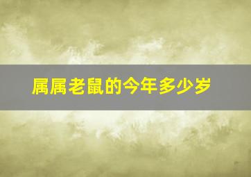 属属老鼠的今年多少岁