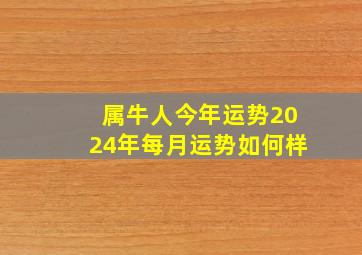 属牛人今年运势2024年每月运势如何样