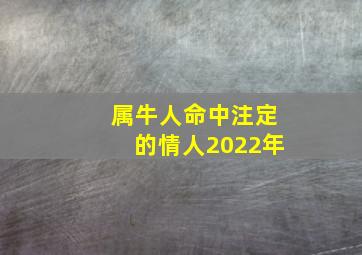 属牛人命中注定的情人2022年