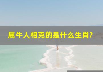 属牛人相克的是什么生肖?