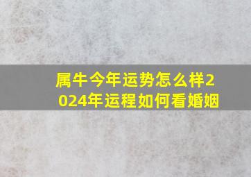 属牛今年运势怎么样2024年运程如何看婚姻