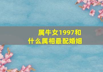 属牛女1997和什么属相最配婚姻