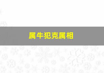 属牛犯克属相