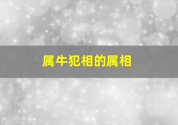 属牛犯相的属相