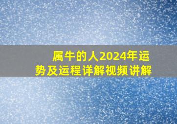 属牛的人2024年运势及运程详解视频讲解