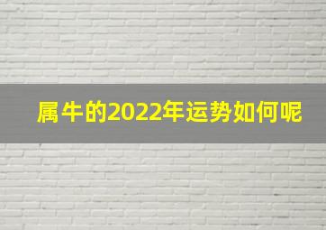 属牛的2022年运势如何呢